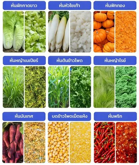 ตัวอย่างผลการหั่นวัตถุดิบ