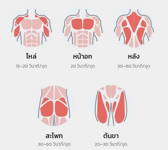 จุดนวดแนะนำ ไหล่ หน้าอก หลัง สะโพก ต้นขา
