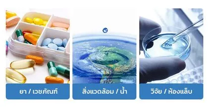 ตัวอย่างงาน