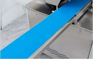 สายพานลำเลียงสีฟ้า