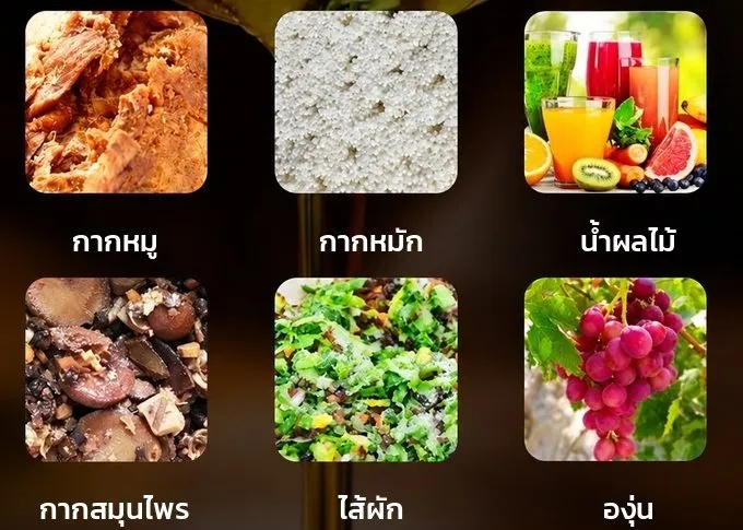 ตัวอย่างวัตถุดิบ: กากหมู กากหมัก น้ำผลไม้ กากสมุนไพร ไส้ผัก องุ่น