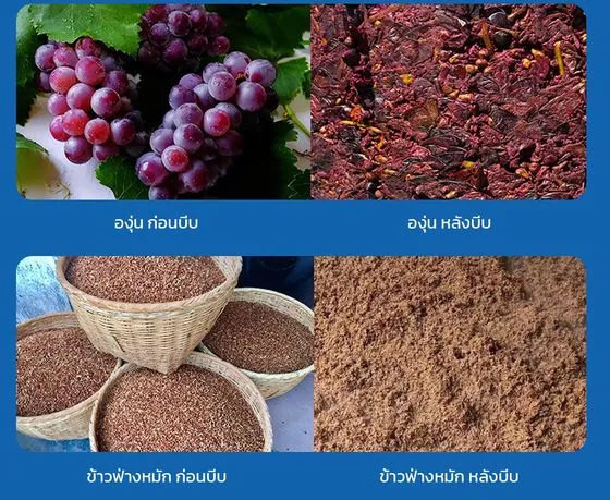 ตัวอย่างงาน องุ่น / ข้าวฟ่างหมัก